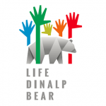 life-dinalp-bear-380x380