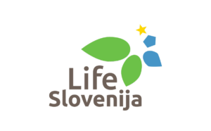 LIFE_pos_XL-e1469026911665