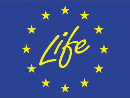 csm_life_02_4ec567b5e9