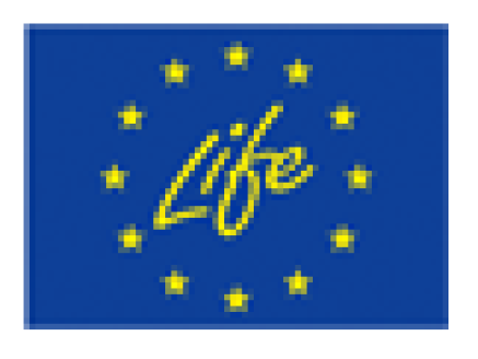 life_logo