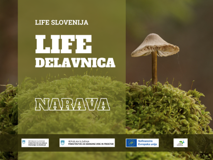 Life slovenija - delavnica narava