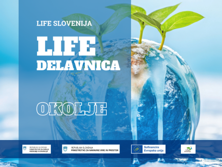 Life slovenija - delavnica okolje