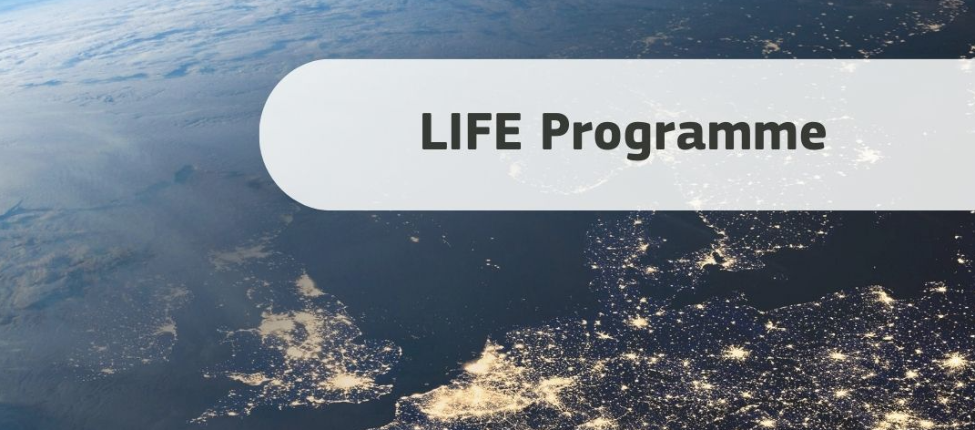 Posnetek zaslona 2026-02-25 133616