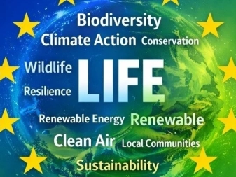 ANMIswFtYgjeYmN-800x450-noPad