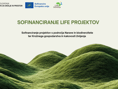 Green and White Modern Nature Forest Environment Presentation