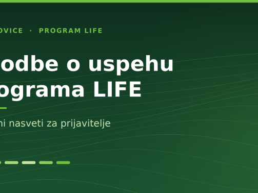 life-zgodbe-o-uspehu-thumbnail